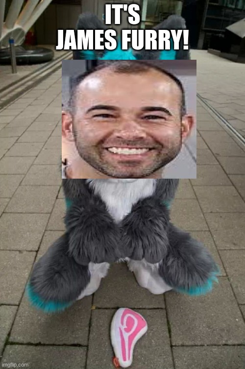 James Furry | IT'S JAMES FURRY! | image tagged in furry,furries,james murr murray,impractical jokers,memes | made w/ Imgflip meme maker