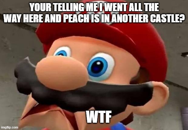 Mario WTF | YOUR TELLING ME I WENT ALL THE WAY HERE AND PEACH IS IN ANOTHER CASTLE? WTF | image tagged in mario wtf | made w/ Imgflip meme maker