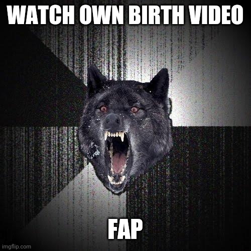 Insanity Wolf Meme | WATCH OWN BIRTH VIDEO FAP | image tagged in memes,insanity wolf | made w/ Imgflip meme maker