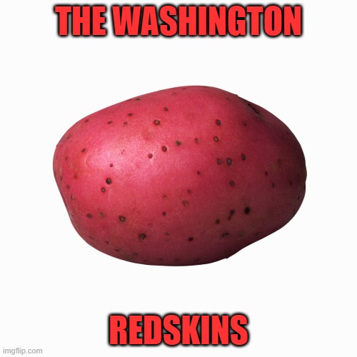 Washington Redskins | THE WASHINGTON; REDSKINS | image tagged in funny,sports | made w/ Imgflip meme maker