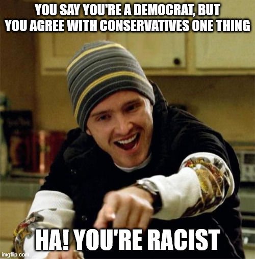 Jesse Pinkman | YOU SAY YOU'RE A DEMOCRAT, BUT YOU AGREE WITH CONSERVATIVES ONE THING; HA! YOU'RE RACIST | image tagged in jesse pinkman | made w/ Imgflip meme maker