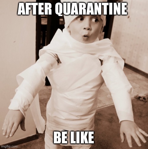 Post quarantine be like | AFTER QUARANTINE; BE LIKE | image tagged in memes | made w/ Imgflip meme maker