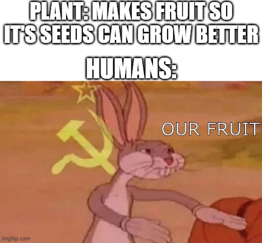 Wow much communist | PLANT: MAKES FRUIT SO IT'S SEEDS CAN GROW BETTER; HUMANS:; OUR FRUIT | image tagged in bugs bunny communist,communism,memes,plants,fruit | made w/ Imgflip meme maker