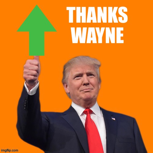 Orange Upvote | THANKS
WAYNE | image tagged in orange upvote | made w/ Imgflip meme maker