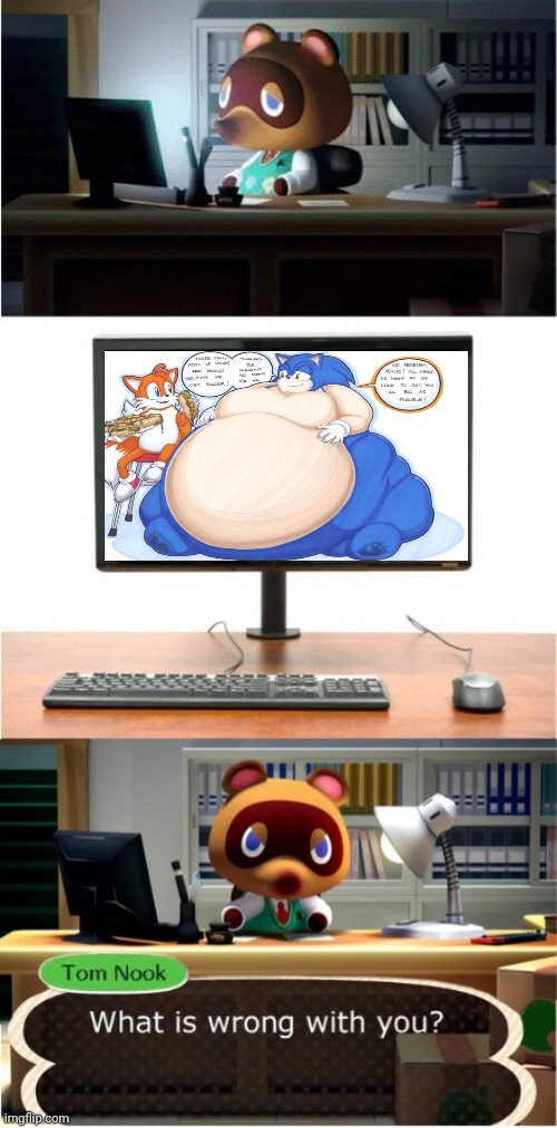 What the f**k is wrong with some people | image tagged in tom nook what is wrong with you,bad fan art,sonic,memes | made w/ Imgflip meme maker