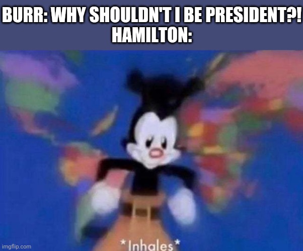 *inhales* | BURR: WHY SHOULDN'T I BE PRESIDENT?!
HAMILTON: | image tagged in inhales | made w/ Imgflip meme maker