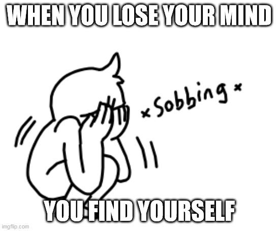 WHEN YOU LOSE YOUR MIND; YOU FIND YOURSELF | image tagged in sayings | made w/ Imgflip meme maker