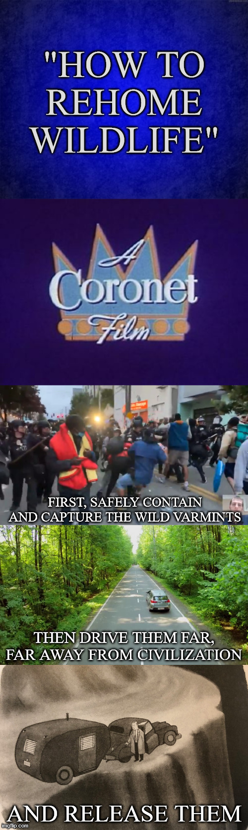 I loved these films when I was in school! | "HOW TO REHOME WILDLIFE"; FIRST, SAFELY CONTAIN AND CAPTURE THE WILD VARMINTS; THEN DRIVE THEM FAR, FAR AWAY FROM CIVILIZATION; AND RELEASE THEM | image tagged in blue background,coronet films,chop,seattle | made w/ Imgflip meme maker