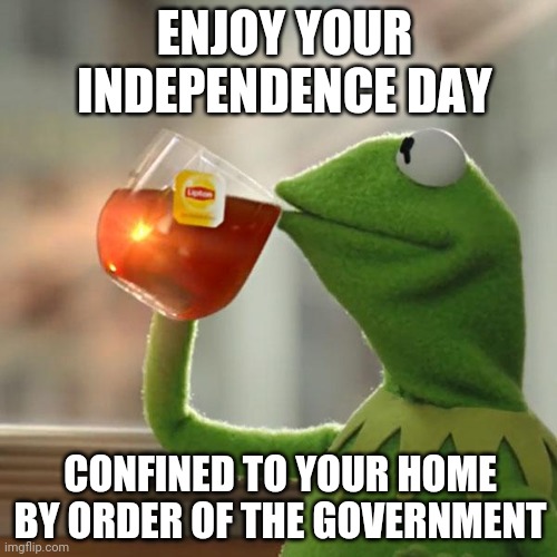 Celebrating Freedom? | ENJOY YOUR INDEPENDENCE DAY; CONFINED TO YOUR HOME BY ORDER OF THE GOVERNMENT | image tagged in memes,but that's none of my business,kermit the frog,4th of july | made w/ Imgflip meme maker