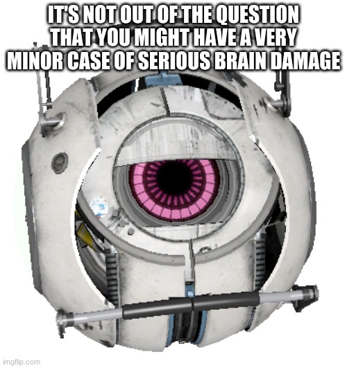 Fact Core | IT'S NOT OUT OF THE QUESTION THAT YOU MIGHT HAVE A VERY MINOR CASE OF SERIOUS BRAIN DAMAGE | image tagged in fact core | made w/ Imgflip meme maker