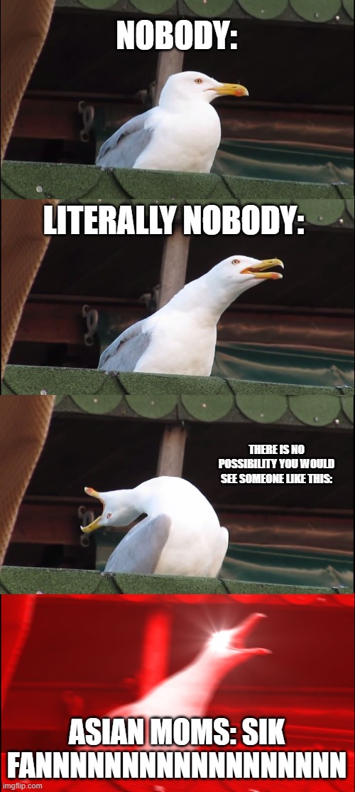 Inhaling Seagull | NOBODY:; LITERALLY NOBODY:; THERE IS NO POSSIBILITY YOU WOULD SEE SOMEONE LIKE THIS:; ASIAN MOMS: SIK FANNNNNNNNNNNNNNNNNN | image tagged in memes,inhaling seagull | made w/ Imgflip meme maker