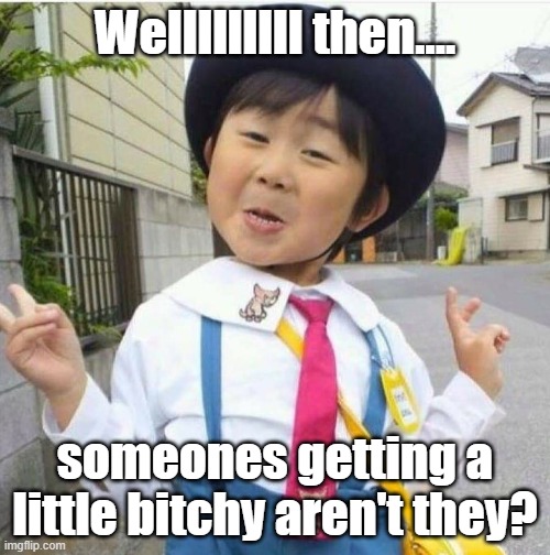 bitchy kid | Welllllllll then.... someones getting a little bitchy aren't they? | image tagged in bitch,child | made w/ Imgflip meme maker
