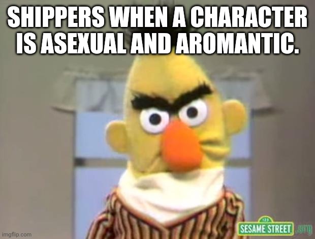 Sesame Street - Angry Bert | SHIPPERS WHEN A CHARACTER IS ASEXUAL AND AROMANTIC. | image tagged in sesame street - angry bert | made w/ Imgflip meme maker