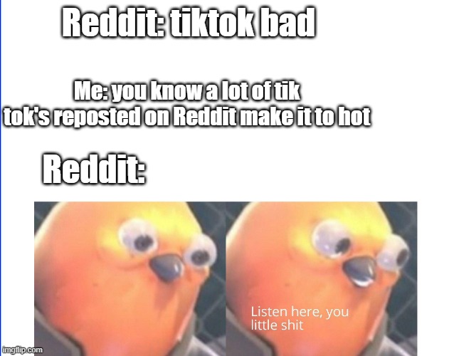 True ngl | Reddit: tiktok bad; Me: you know a lot of tik tok's reposted on Reddit make it to hot; Reddit: | image tagged in listen here you little shit | made w/ Imgflip meme maker