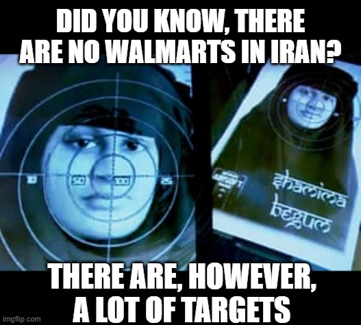 Targets Comes to Iran | DID YOU KNOW, THERE ARE NO WALMARTS IN IRAN? THERE ARE, HOWEVER, A LOT OF TARGETS | image tagged in dark humor | made w/ Imgflip meme maker