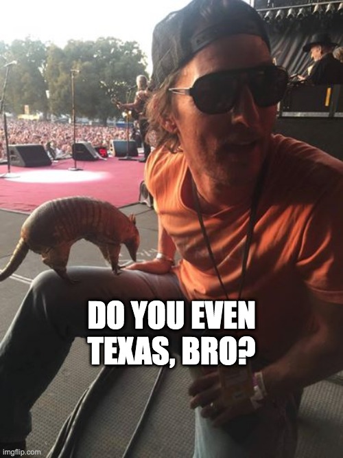 Do You Even Texas, Bro? | DO YOU EVEN TEXAS, BRO? | image tagged in willie nelson,armadillo,matthew mcconaughey,texas | made w/ Imgflip meme maker