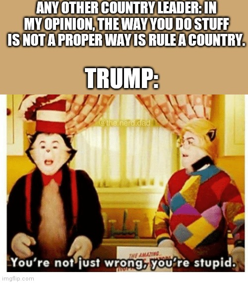 You're not just wrong your stupid | ANY OTHER COUNTRY LEADER: IN MY OPINION, THE WAY YOU DO STUFF IS NOT A PROPER WAY IS RULE A COUNTRY. TRUMP: | image tagged in you're not just wrong your stupid | made w/ Imgflip meme maker