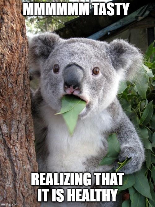 kwall | MMMMMM TASTY; REALIZING THAT IT IS HEALTHY | image tagged in memes,surprised koala | made w/ Imgflip meme maker