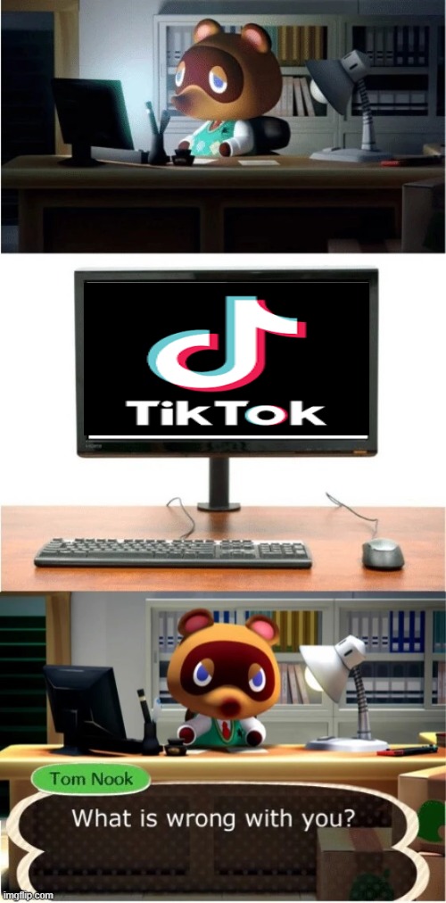 Tom Nook What is wrong with you | image tagged in tom nook what is wrong with you | made w/ Imgflip meme maker