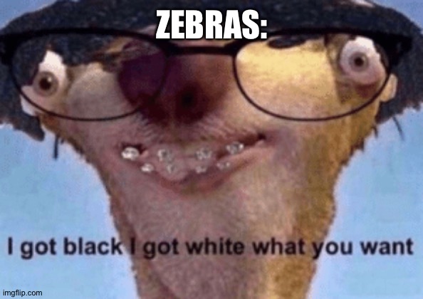 I got black I got white what ya want | ZEBRAS: | image tagged in i got black i got white what ya want | made w/ Imgflip meme maker