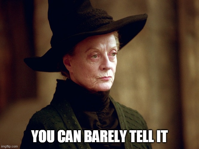 Unamused Mcgonagall | YOU CAN BARELY TELL IT | image tagged in unamused mcgonagall | made w/ Imgflip meme maker