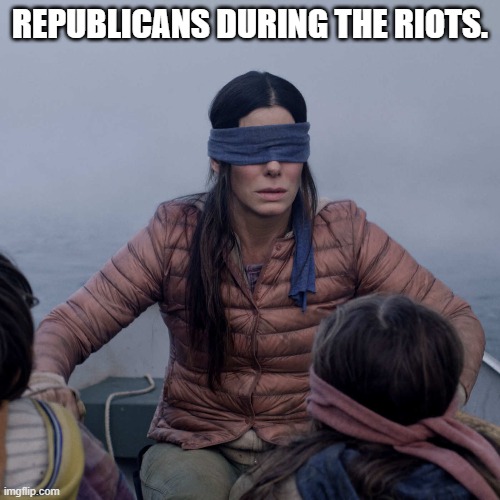 Republicans Ain't doing shit either. | REPUBLICANS DURING THE RIOTS. | image tagged in memes,bird box | made w/ Imgflip meme maker