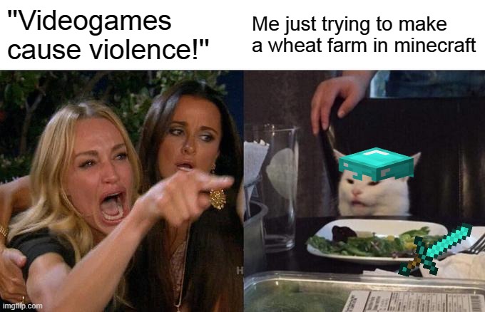 I know this is kinda a repost but sorry | ''Videogames cause violence!''; Me just trying to make a wheat farm in minecraft | image tagged in memes,woman yelling at cat | made w/ Imgflip meme maker