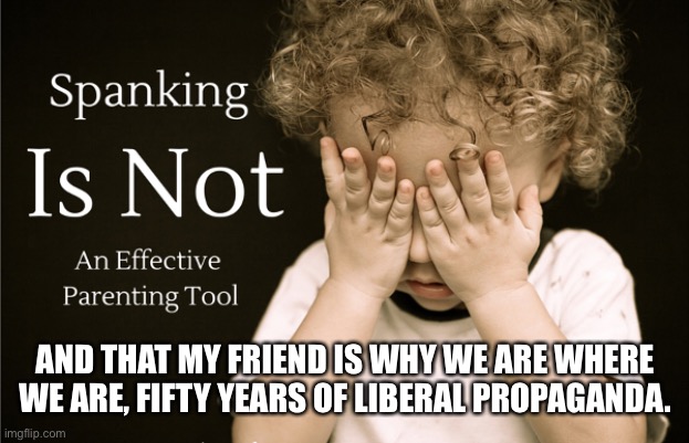 AND THAT MY FRIEND IS WHY WE ARE WHERE WE ARE, FIFTY YEARS OF LIBERAL PROPAGANDA. | image tagged in crying baby,democrats,ConservativeMemes | made w/ Imgflip meme maker