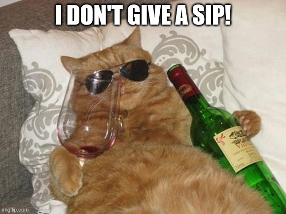 Funny Cat Birthday | I DON'T GIVE A SIP! | image tagged in funny cat birthday | made w/ Imgflip meme maker