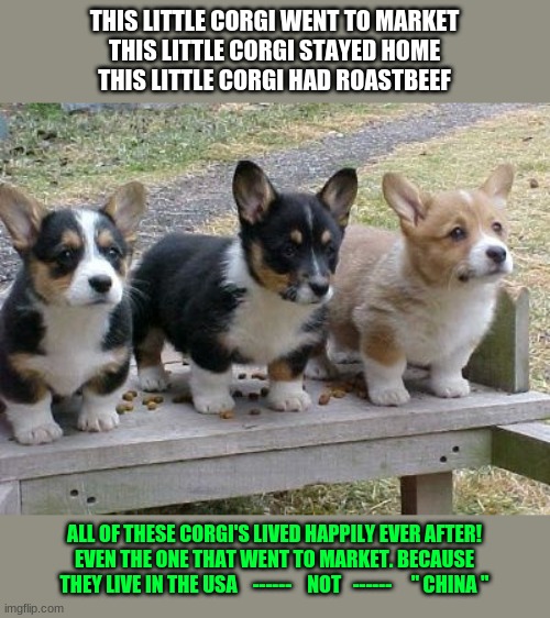 Just another Fairy Tale | THIS LITTLE CORGI WENT TO MARKET
THIS LITTLE CORGI STAYED HOME
THIS LITTLE CORGI HAD ROASTBEEF; ALL OF THESE CORGI'S LIVED HAPPILY EVER AFTER!
EVEN THE ONE THAT WENT TO MARKET. BECAUSE
THEY LIVE IN THE USA    ------    NOT   ------     " CHINA " | image tagged in dog | made w/ Imgflip meme maker
