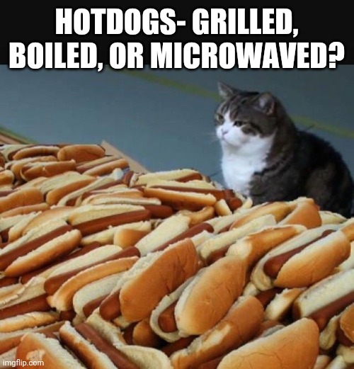 Cat hotdogs | HOTDOGS- GRILLED, BOILED, OR MICROWAVED? | image tagged in cat hotdogs | made w/ Imgflip meme maker