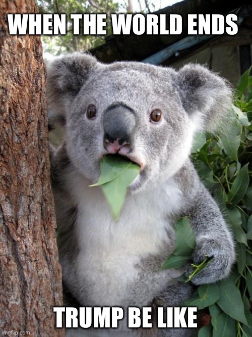 Surprised Koala Meme | WHEN THE WORLD ENDS; TRUMP BE LIKE | image tagged in memes,surprised koala | made w/ Imgflip meme maker