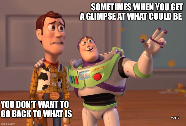 What it could be | SOMETIMES WHEN YOU GET A GLIMPSE AT WHAT COULD BE; YOU DON'T WANT TO 
GO BACK TO WHAT IS; WATTS | image tagged in memes,toy story,life,they said i could be anything,buzz lightyear,buzz and woody | made w/ Imgflip meme maker