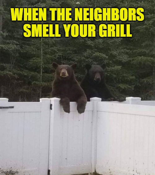 Happens every time | WHEN THE NEIGHBORS SMELL YOUR GRILL | image tagged in funny,neighbors,grilling,barbecue,bbq grill on fire,unwanted house guest | made w/ Imgflip meme maker