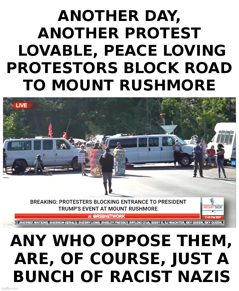 Ho Hum: Another Day, Another Protest | image tagged in protesters,mount rushmore,donald trump,4th of july,crying liberals,sad | made w/ Imgflip meme maker