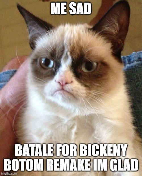 Grumpy Cat | ME SAD; BATALE FOR BICKENY BOTOM REMAKE IM GLAD | image tagged in memes,grumpy cat | made w/ Imgflip meme maker