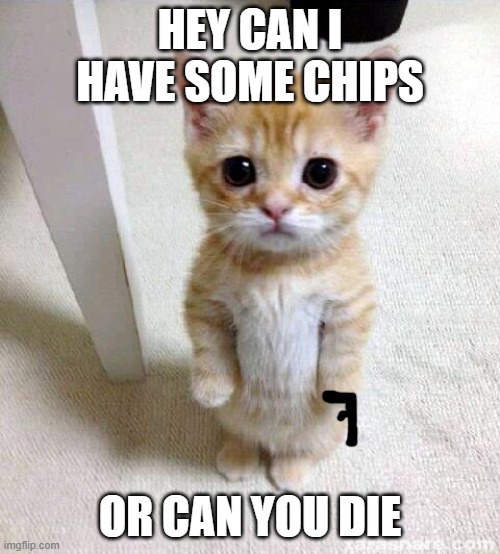 meow | HEY CAN I HAVE SOME CHIPS; OR CAN YOU DIE | image tagged in memes,cute cat | made w/ Imgflip meme maker