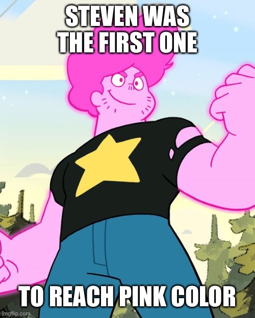 Pink color | STEVEN WAS THE FIRST ONE; TO REACH PINK COLOR | image tagged in steven universe | made w/ Imgflip meme maker