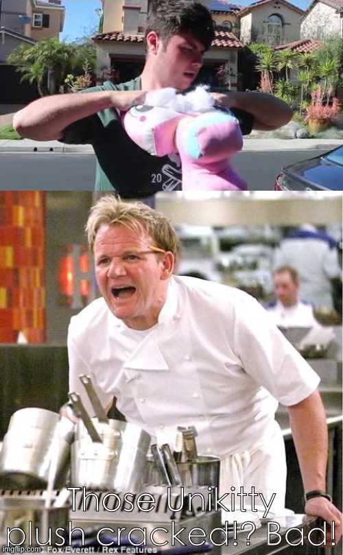 Lol Gordon Ramsay | Those Unikitty plush cracked!? Bad! | image tagged in memes,chef gordon ramsay,plainrock124 only 2000 for ever made | made w/ Imgflip meme maker