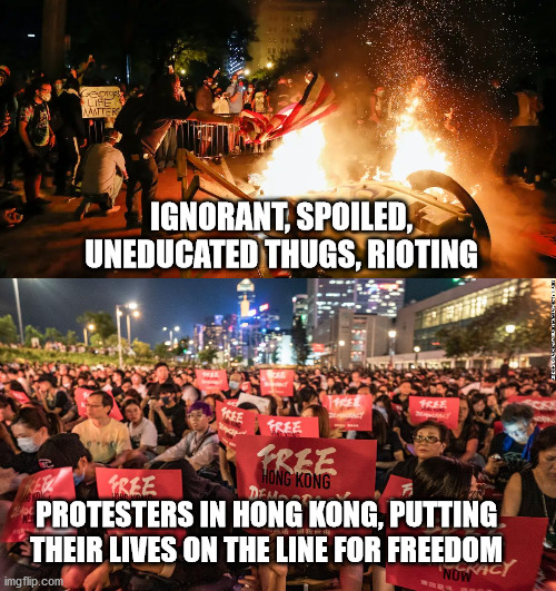 Rioters vs Protesters - Imgflip