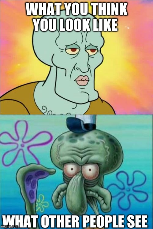 Squidward Meme | WHAT YOU THINK YOU LOOK LIKE; WHAT OTHER PEOPLE SEE | image tagged in memes,squidward | made w/ Imgflip meme maker
