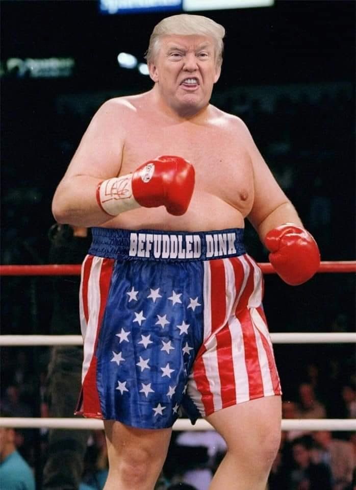 High Quality Trump boxing Blank Meme Template
