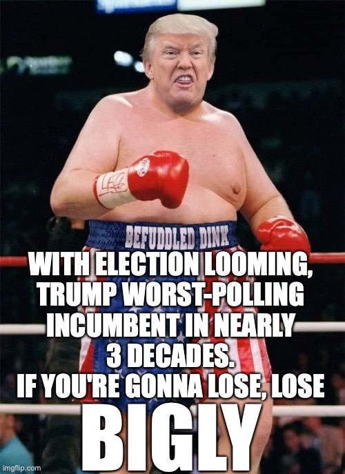 trump-polling-imgflip