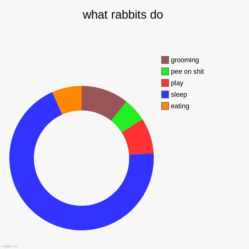 what rabbits do | eating, sleep, play, pee on shit, grooming | image tagged in charts,donut charts | made w/ Imgflip chart maker