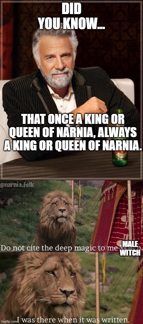 DID YOU KNOW... THAT ONCE A KING OR QUEEN OF NARNIA, ALWAYS A KING OR QUEEN OF NARNIA. MALE WITCH | image tagged in memes,the most interesting man in the world,narnia meme | made w/ Imgflip meme maker