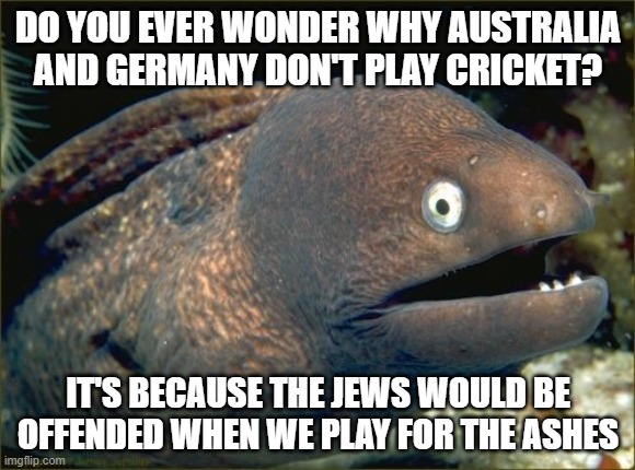 Bad Joke Eel Meme | DO YOU EVER WONDER WHY AUSTRALIA AND GERMANY DON'T PLAY CRICKET? IT'S BECAUSE THE JEWS WOULD BE OFFENDED WHEN WE PLAY FOR THE ASHES | image tagged in memes,bad joke eel,cricket,holocaust,jews,black | made w/ Imgflip meme maker