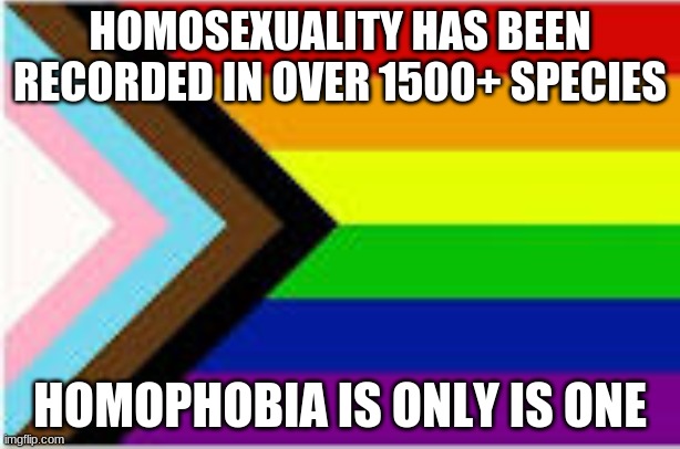 hmmm interesting | HOMOSEXUALITY HAS BEEN RECORDED IN OVER 1500+ SPECIES; HOMOPHOBIA IS ONLY IS ONE | made w/ Imgflip meme maker
