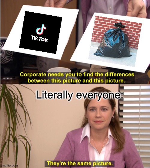 They're The Same Picture | Literally everyone: | image tagged in memes,they're the same picture | made w/ Imgflip meme maker