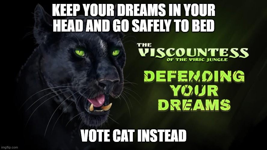 KEEP YOUR DREAMS IN YOUR HEAD AND GO SAFELY TO BED; VOTE CAT INSTEAD | image tagged in fallenlondon | made w/ Imgflip meme maker