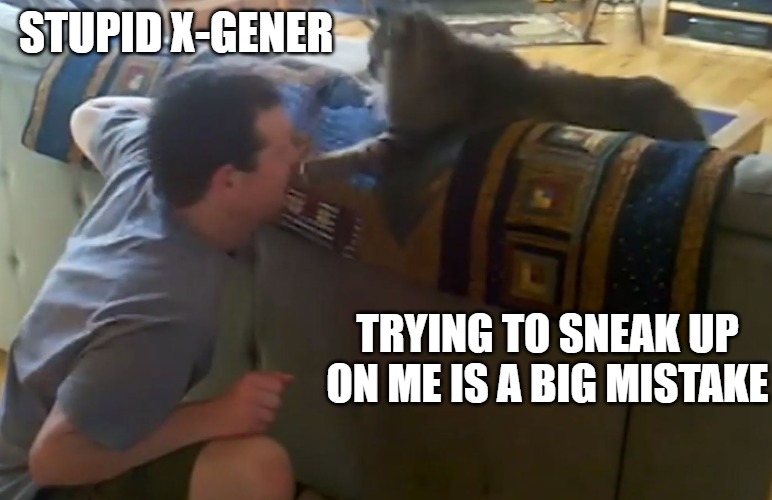 Big Mistake | STUPID X-GENER; TRYING TO SNEAK UP ON ME IS A BIG MISTAKE | image tagged in cats,memes,fun,funny,x-gen | made w/ Imgflip meme maker